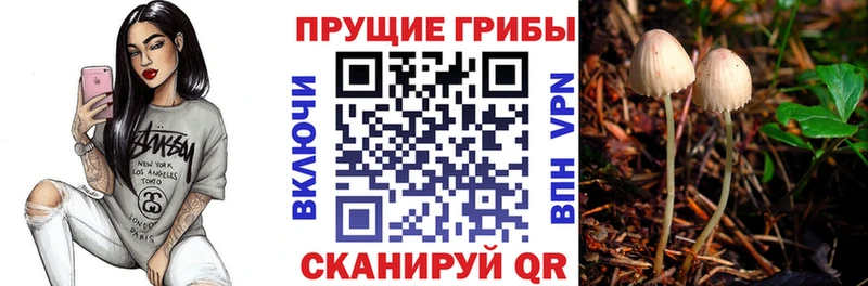 Купить закладки  Геленджик  Галлюциногенные грибы мухоморы 
